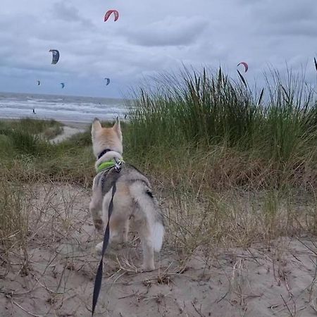 Surfin Villa Koksijde Buitenkant foto