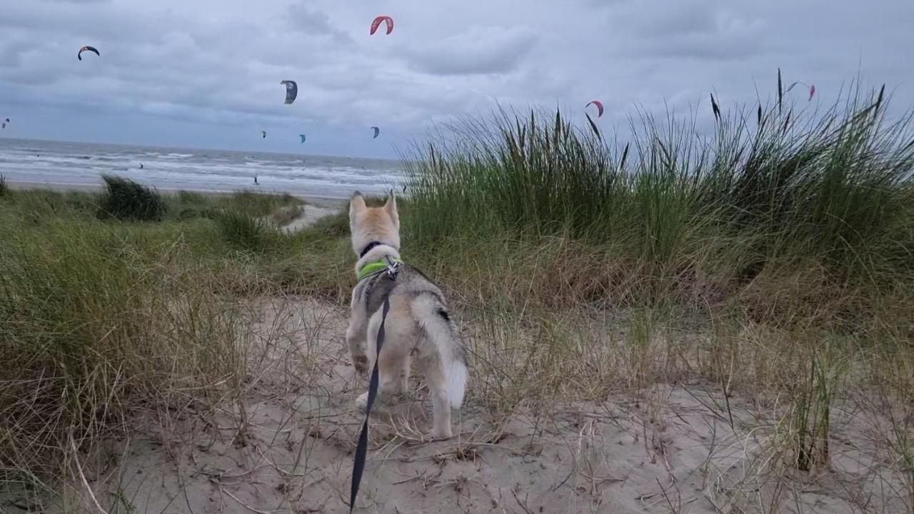 Surfin Villa Koksijde Buitenkant foto
